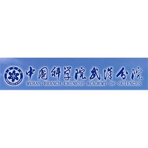 武汉研究院